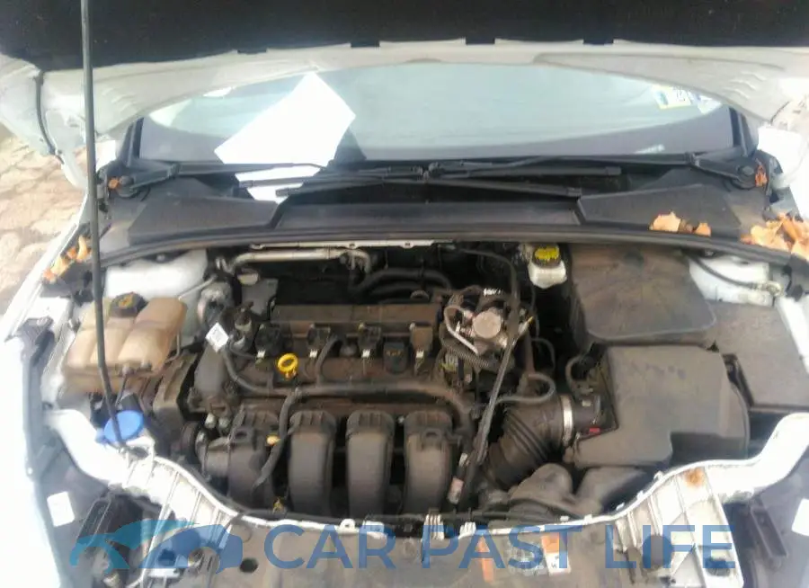 1FADP3F20HL321950# 10