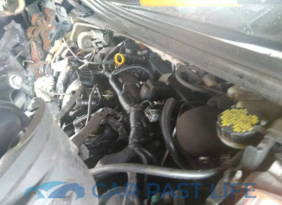 1FADP3F26FL237838# 10