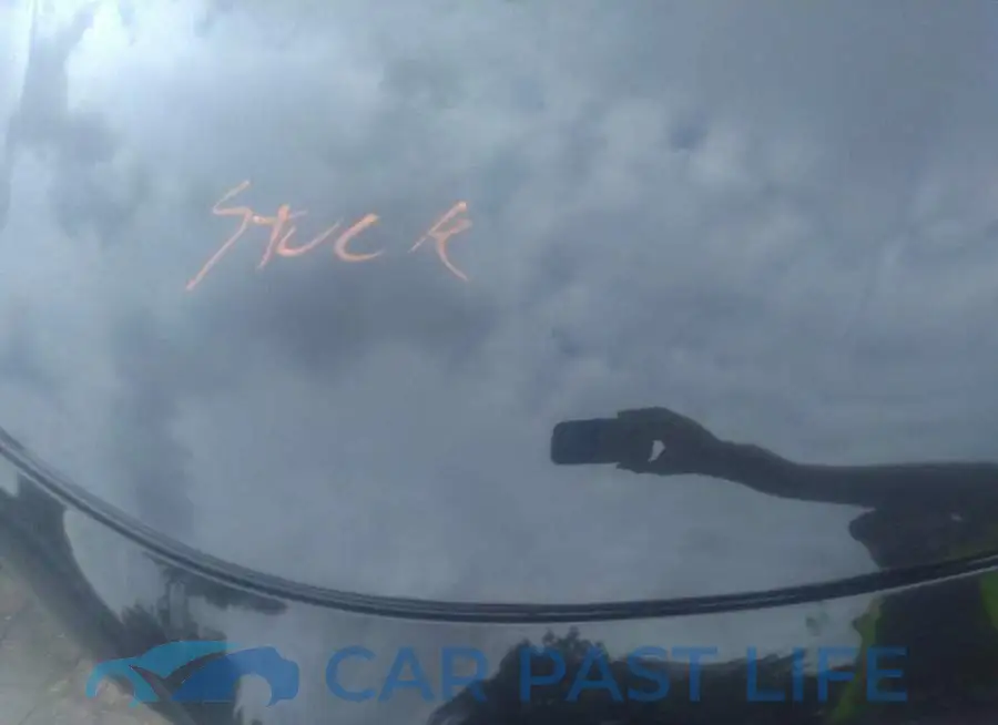 ZASPAKBNXM7D11617# 10