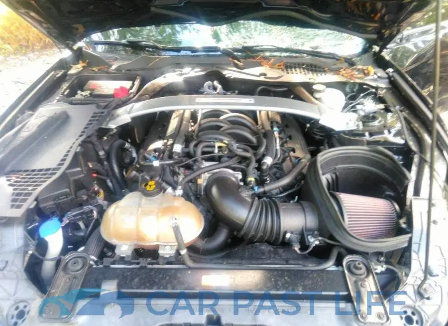 1FA6P8JZ6K5552938# 10
