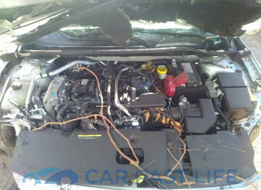 3N1AB8CV2NY293663# 10
