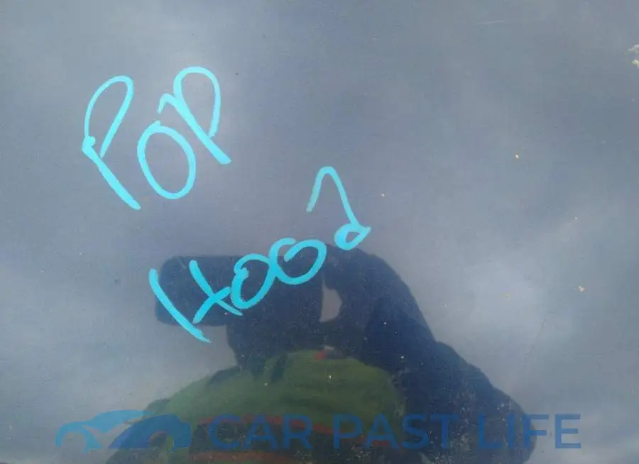 JN1BJ1CP1JW102722# 10