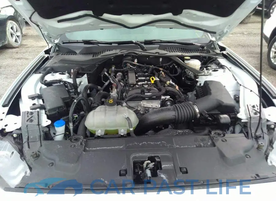 1FATP8UH8M5143610# 10