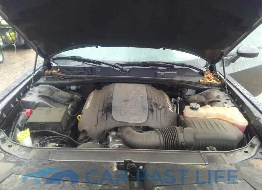 2C3CDZBT6KH641931# 10