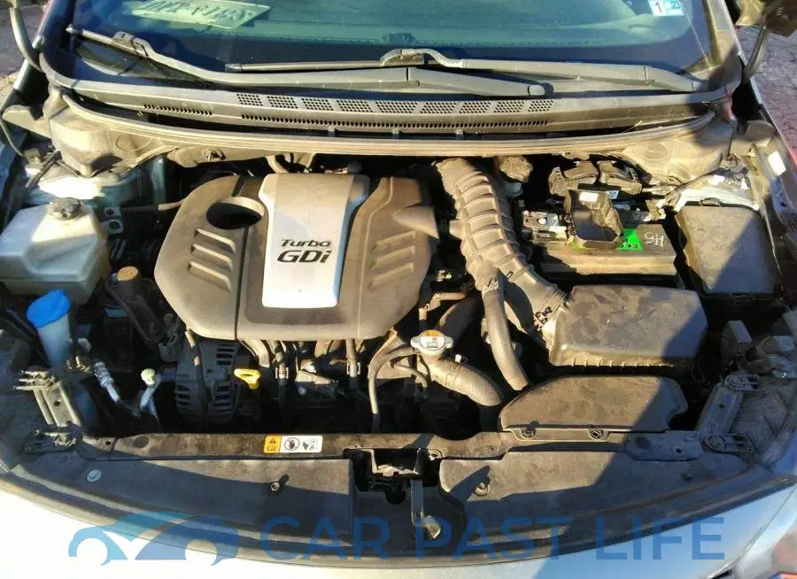 KNAFZ6A3XE5197911# 10