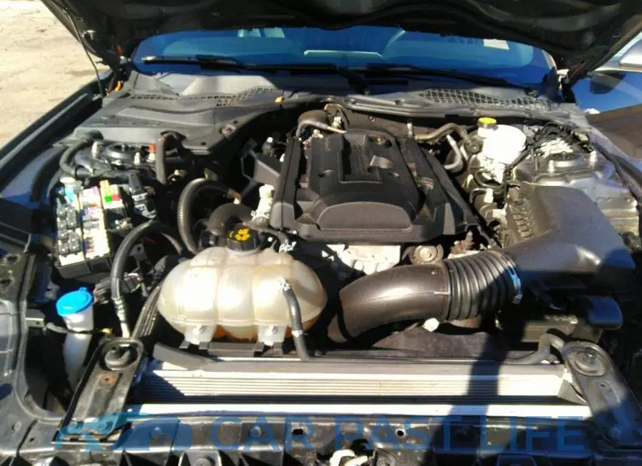1FA6P8TH7L5134751# 10