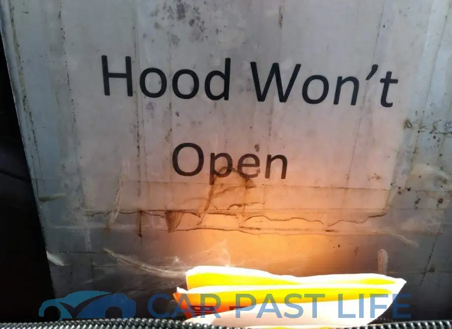 1FADP3N21DL232741# 10