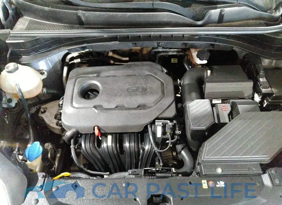 KNDPM3AC4J7454726# 10