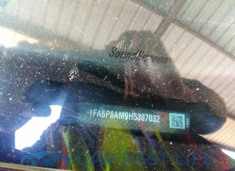 1FA6P8AM9H5307032# 9