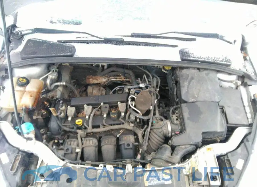 1FADP3E23FL355900# 10
