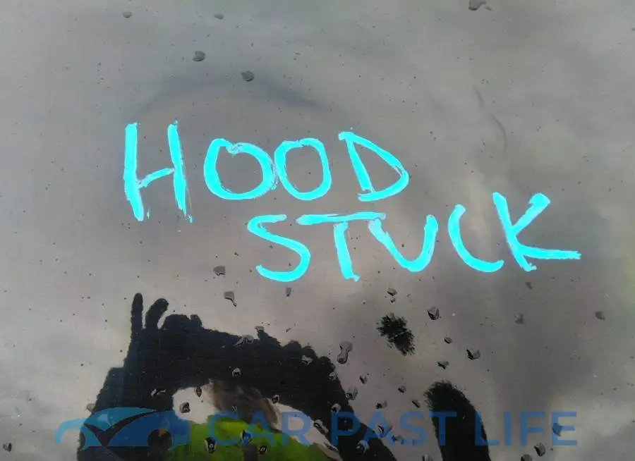 2HGFB6E53DH700450# 10