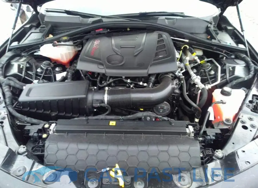 ZARFANAN8M7639048# 10