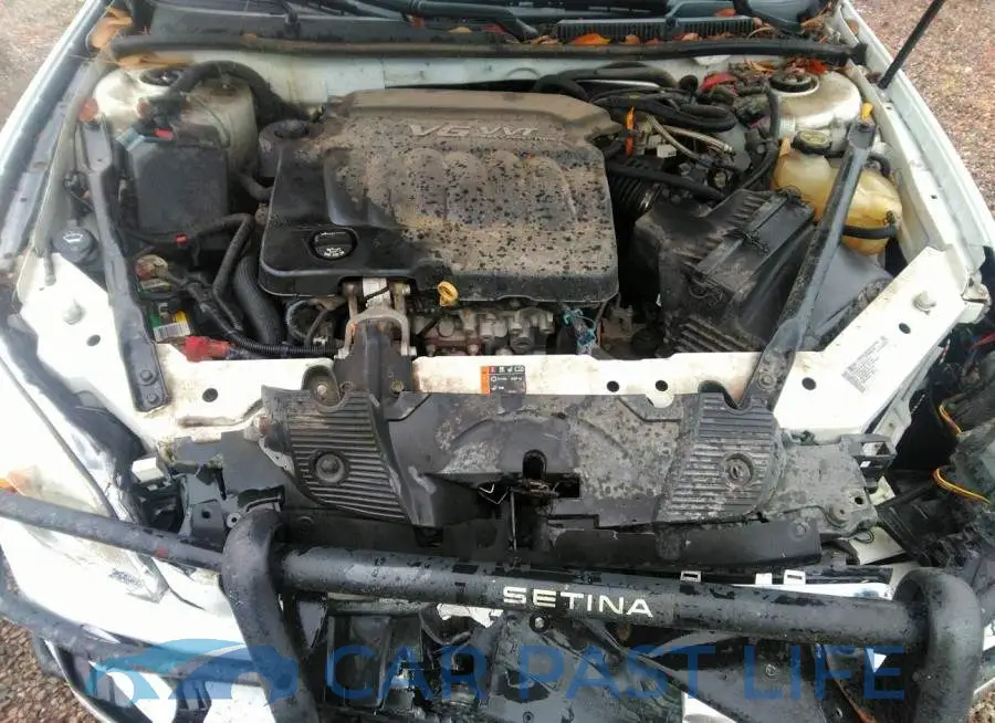 2G1WD5E34D1182531# 10
