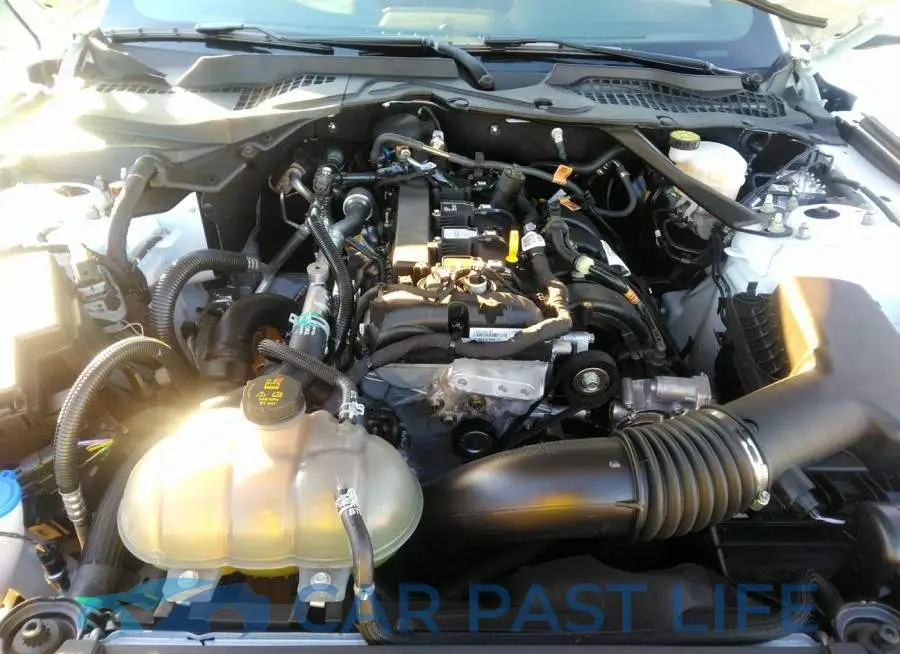 1FATP8UH1N5134538# 5