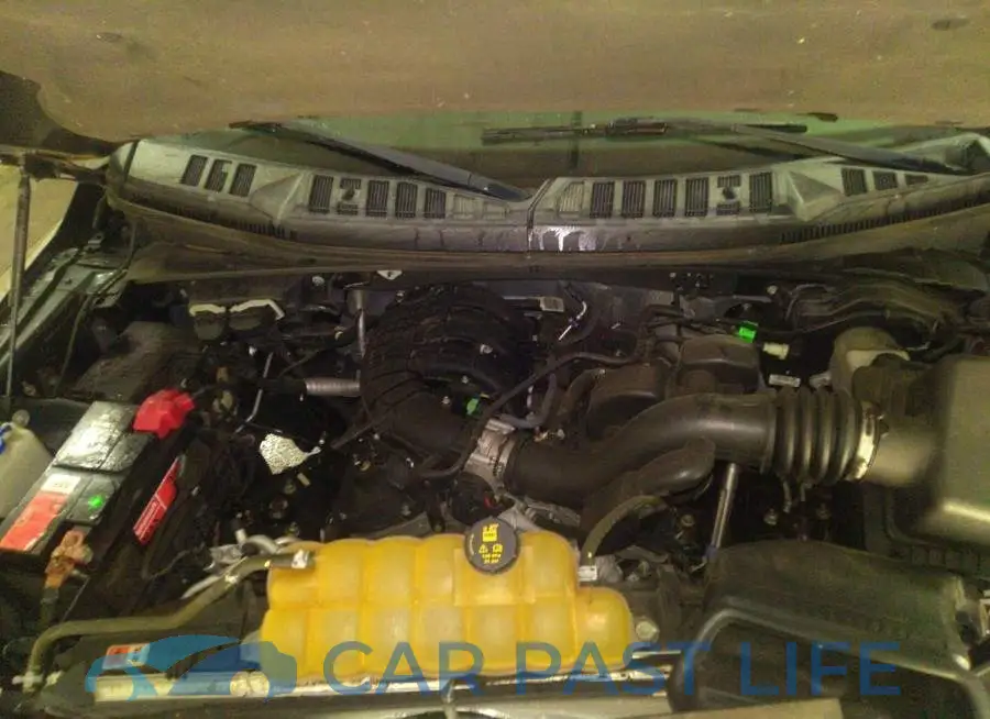 1FTMF1E81GFA83904# 10