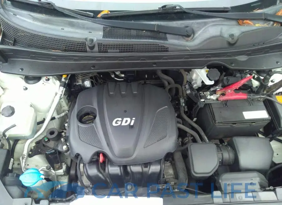 KNDPBCAC4G7876218# 10