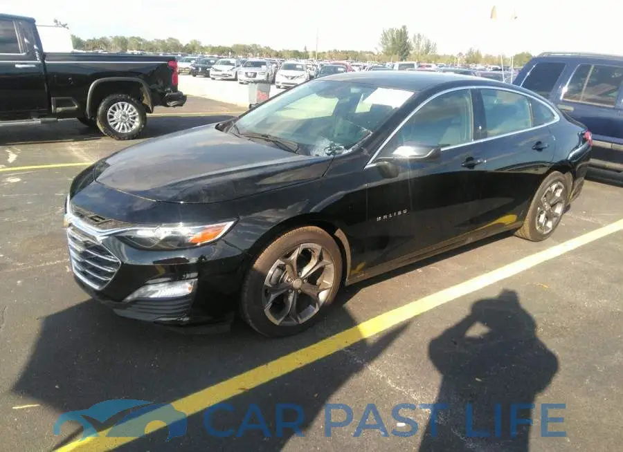 1G1ZD5ST3NF143523# 2