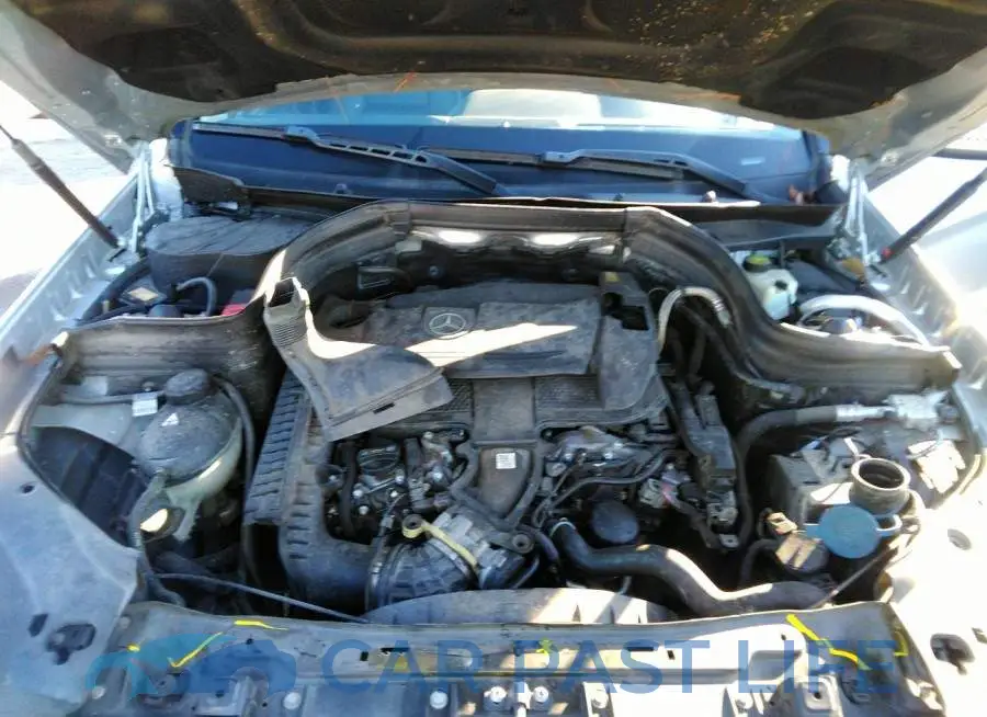 WDCGG5HB7EG306831# 10