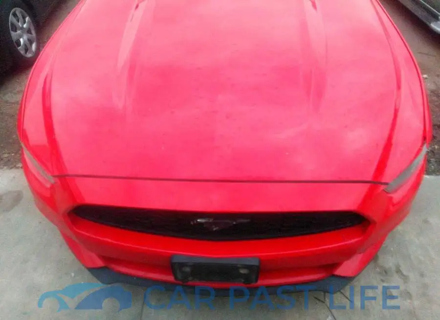 1FA6P8AM6F5407988# 6