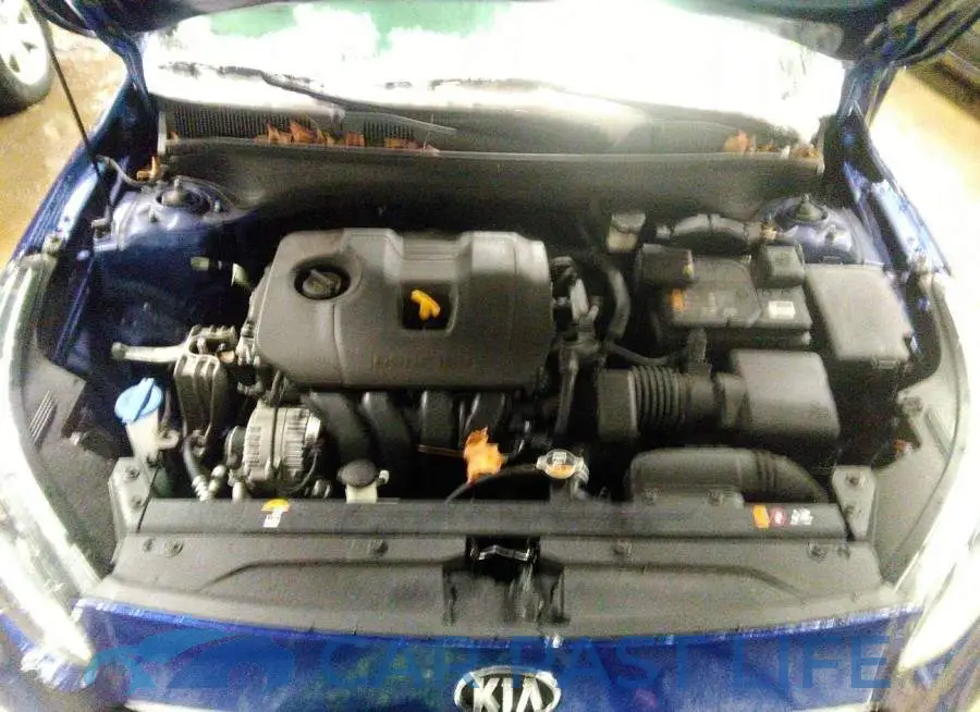 3KPF24AD5ME356700# 10