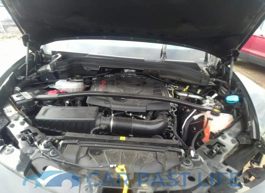 ZASPAKAN8M7C98531# 10