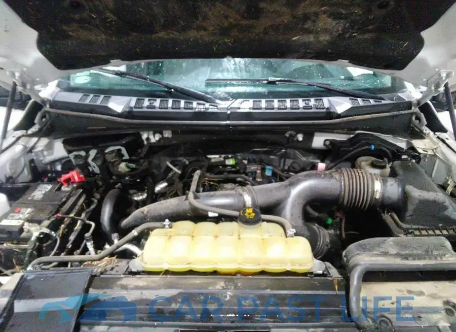 1FTEW1EP4LKE80018# 10