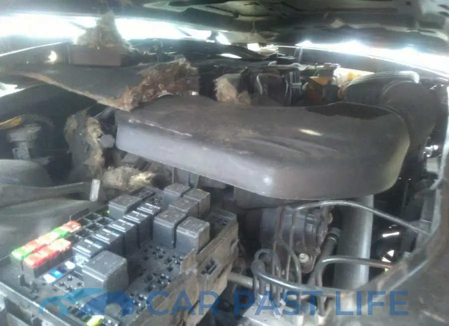 2C3CDXBG9EH129401# 10