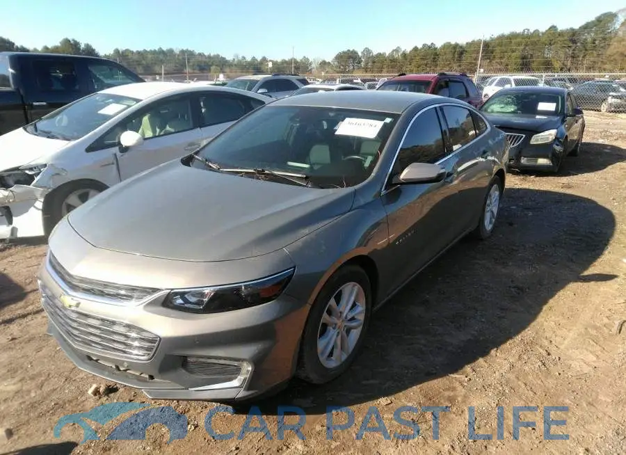 1G1ZD5ST0JF161519# 2