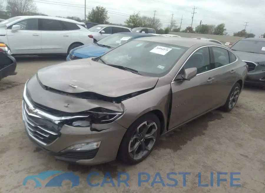 1G1ZD5ST2NF113820# 2