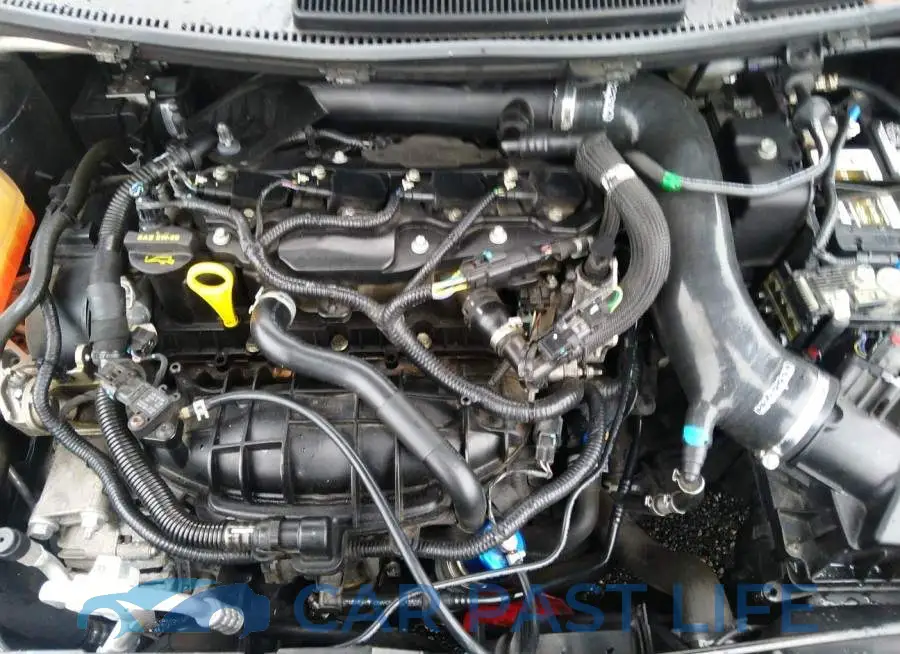 3FADP4GX4HM134368# 10