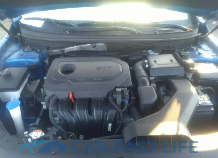5NPE24AF8JH691955# 10