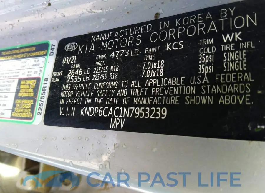 KNDP6CAC1N7953239# 9