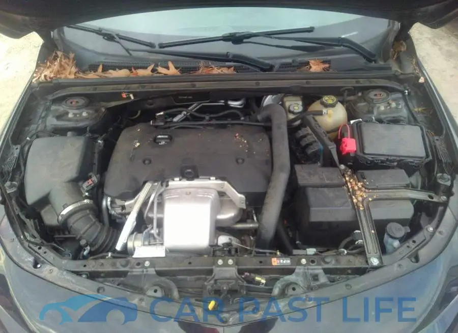 1G1ZF5SX4GF176529# 10