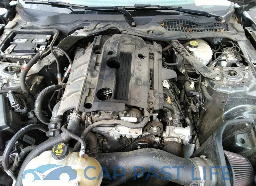 1FATP8UH8K5170237# 10