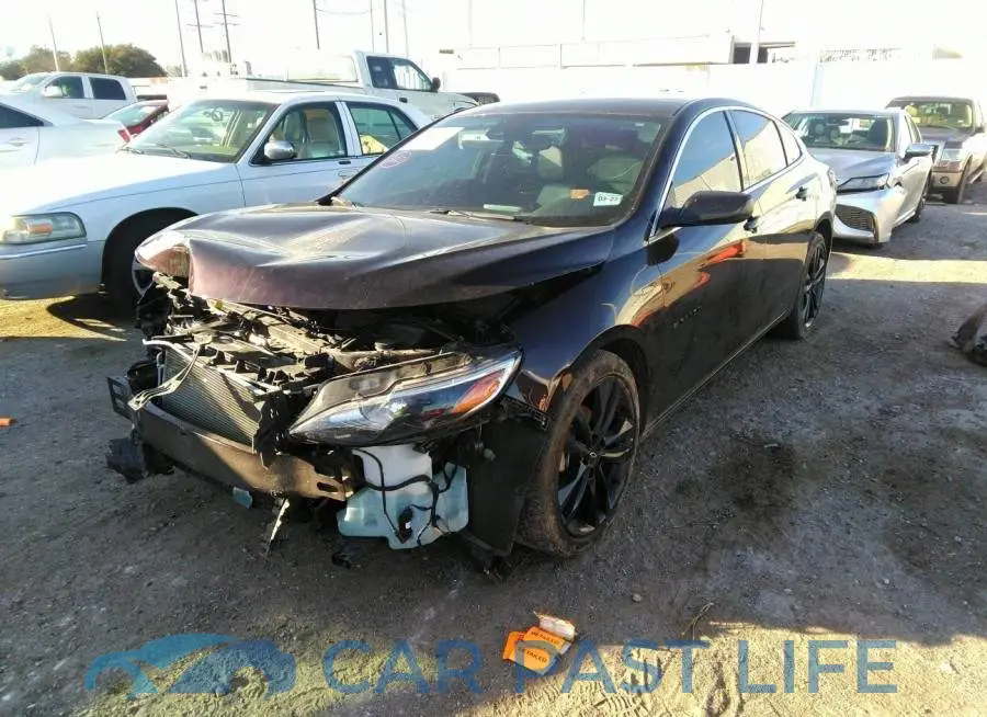 1G1ZD5ST4MF047446# 2