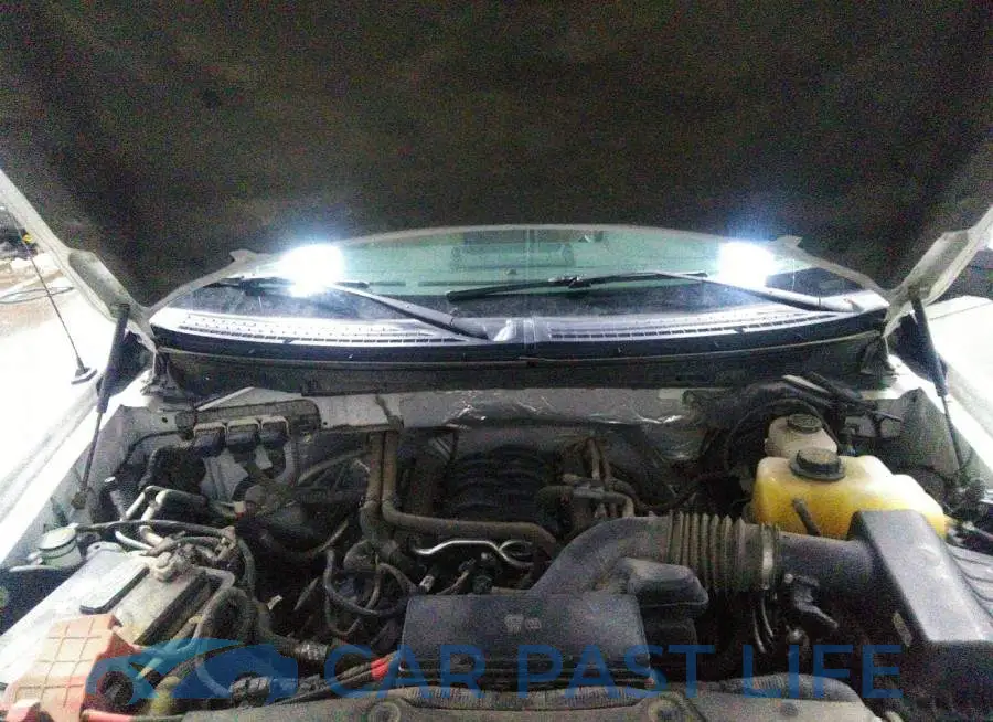 1FTFW1EF3DKF32364# 10