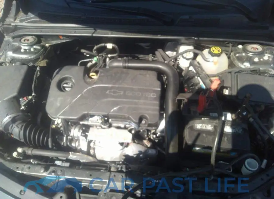 1G1ZD5ST1JF142641# 10