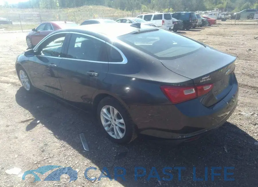 1G1ZD5ST1JF142641# 3