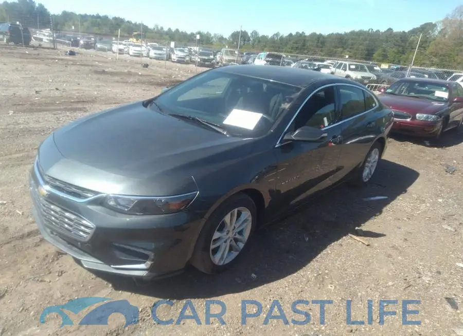 1G1ZD5ST1JF142641# 2