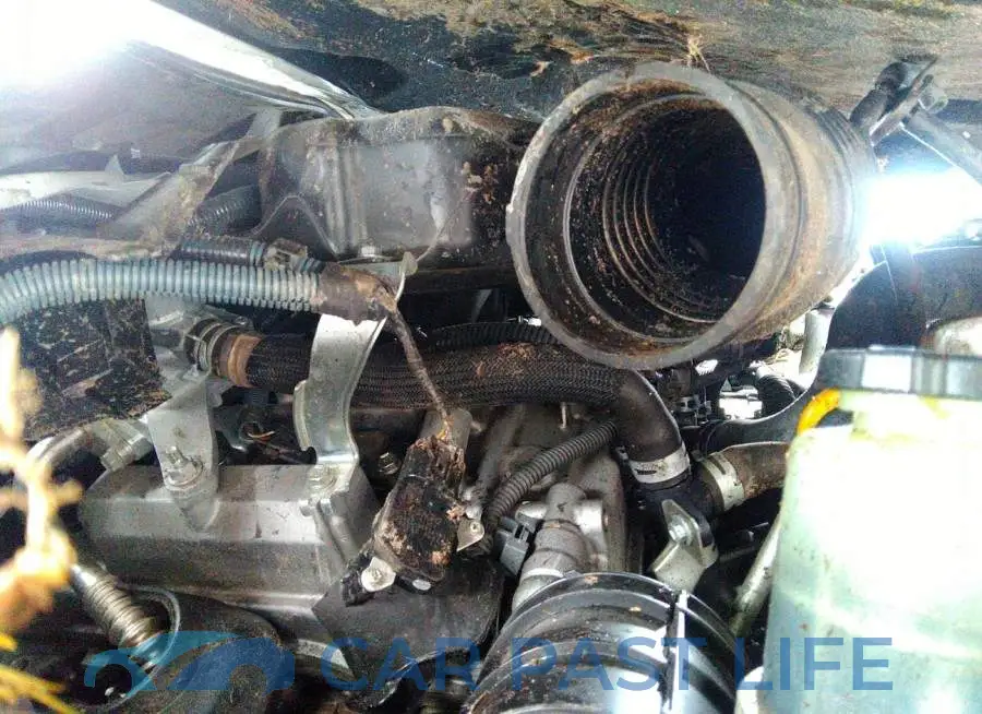 JTEZU5JR1G5125362# 10