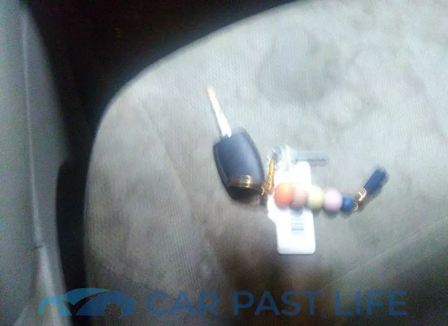 1FADP3F23DL210450# 11