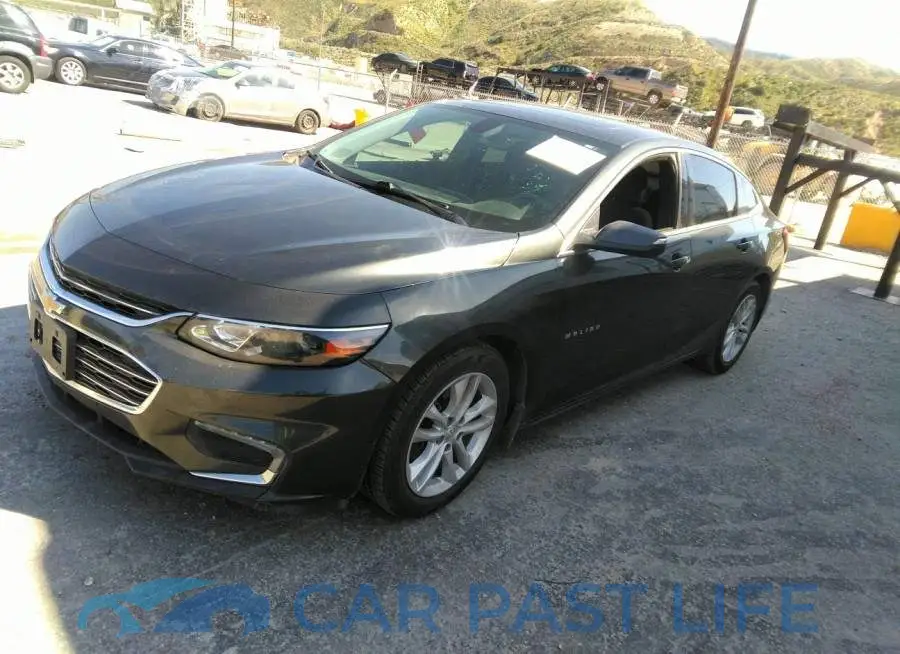 1G1ZD5ST4JF216070# 2