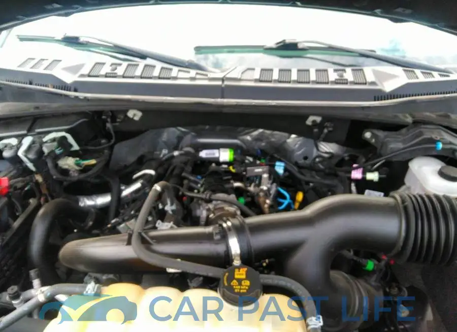 1FTEW1EP1LFB44805# 10