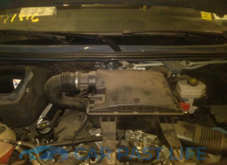 WD4PF1CD4KP134902# 10