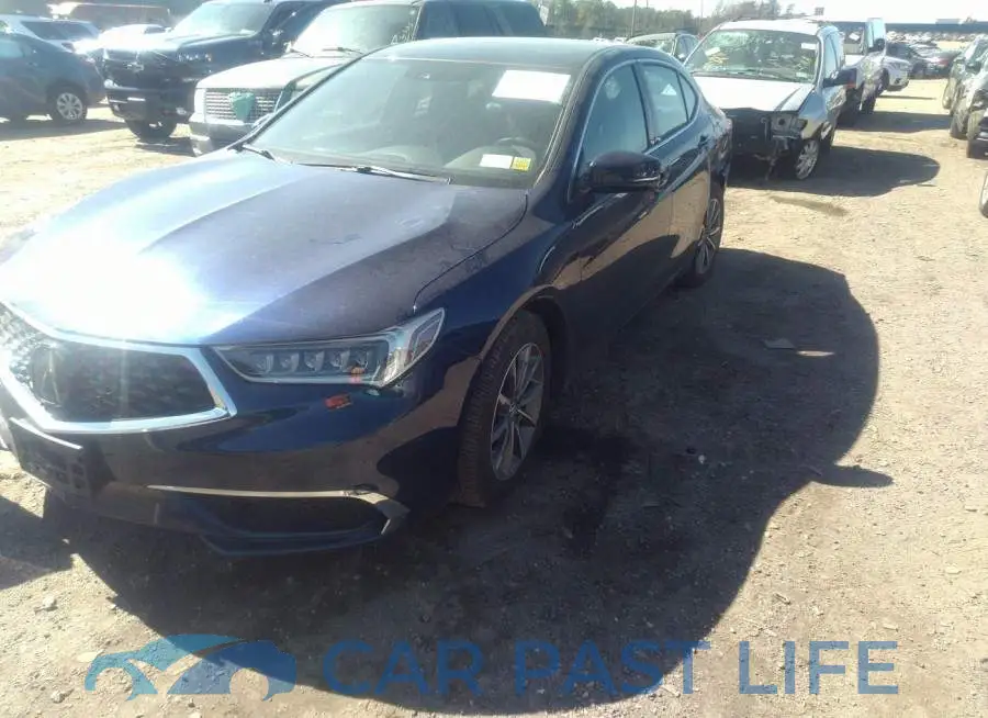 19UUB1F50LA015344# 2