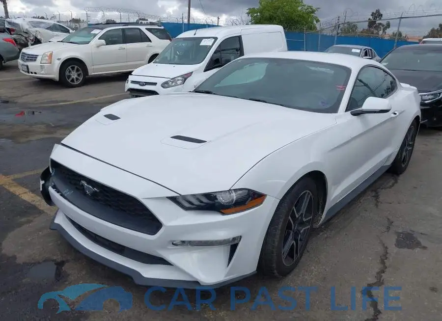 1FA6P8TH4L5120449# 2