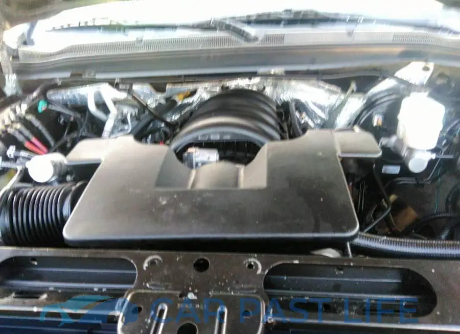 1GNSCJKC1FR564376# 6