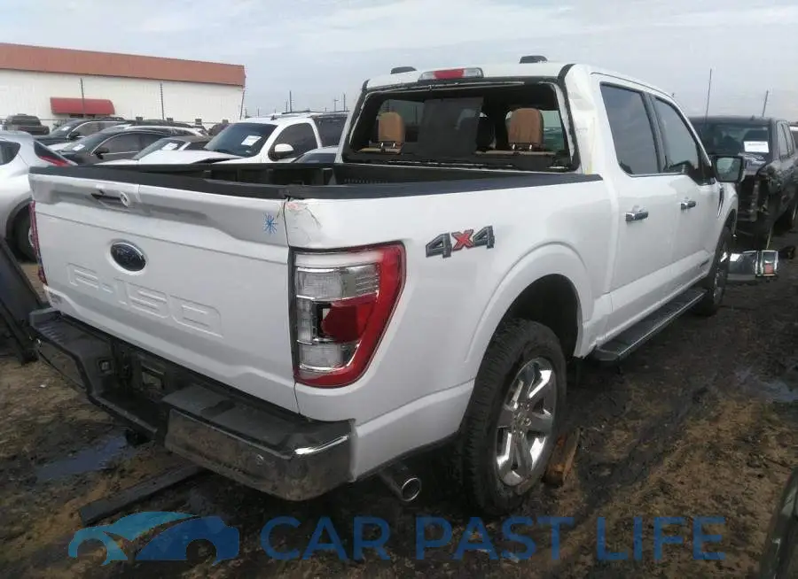 1FTFW1ED7NFB36446# 4