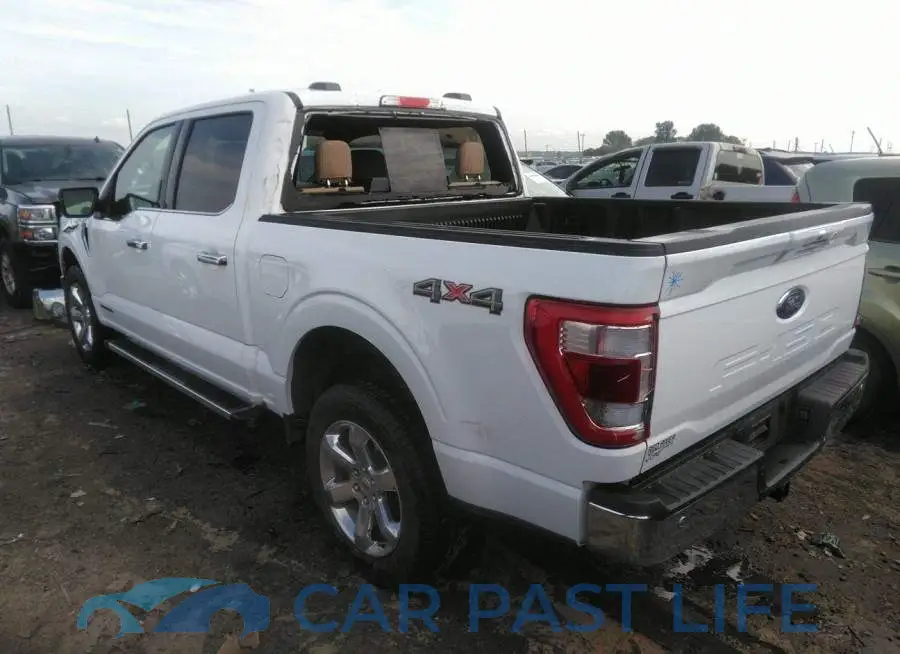 1FTFW1ED7NFB36446# 3