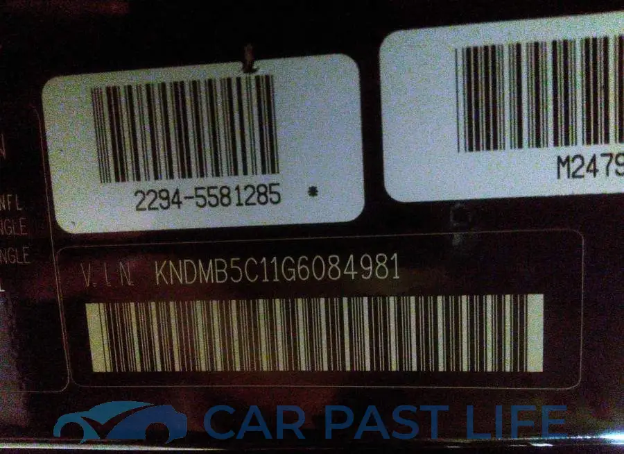 KNDMB5C11G6084981# 9